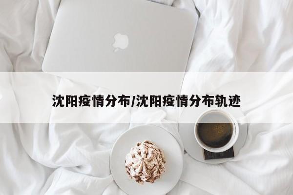 沈阳疫情分布/沈阳疫情分布轨迹