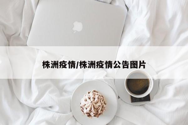 株洲疫情/株洲疫情公告图片